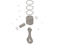KIT PISTON QSB6.7 ANT(4955160)