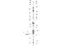 Inyector motor X15