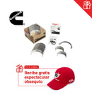 Kit casqueteria KISX5579050